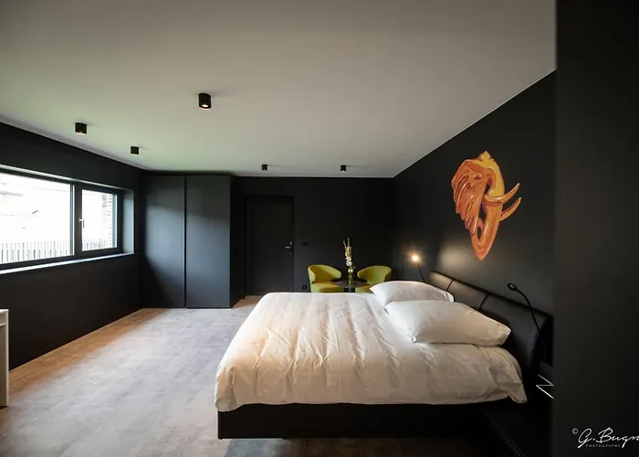 Hotel Boutique Hotel, La Cour De La Reine, Rooftop & Bistronomique Restaurant Spa